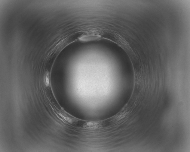 X0000052560095200507081647