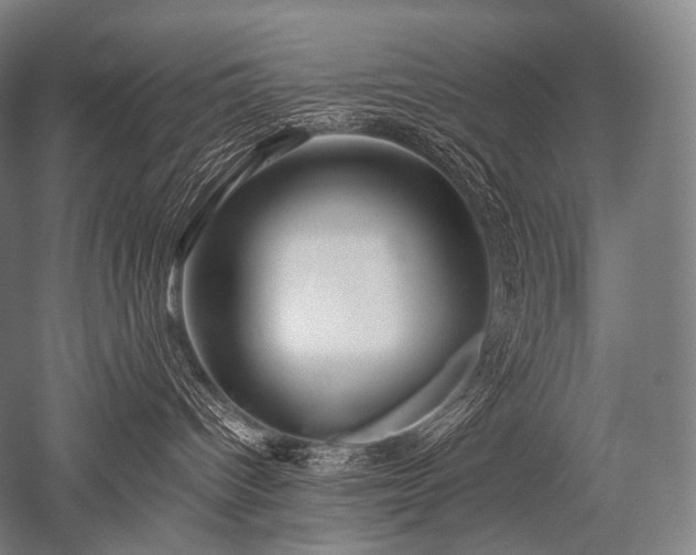 X0000052560096200507081647