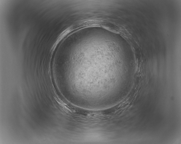 X0000052560099200507081646