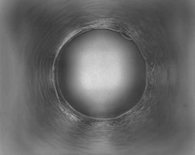 X0000052560100200507081646
