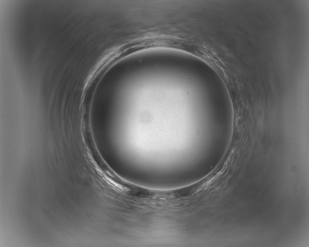 X0000052560101200507081646