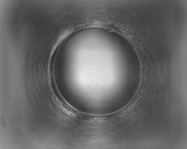 X0000052560102200507081646