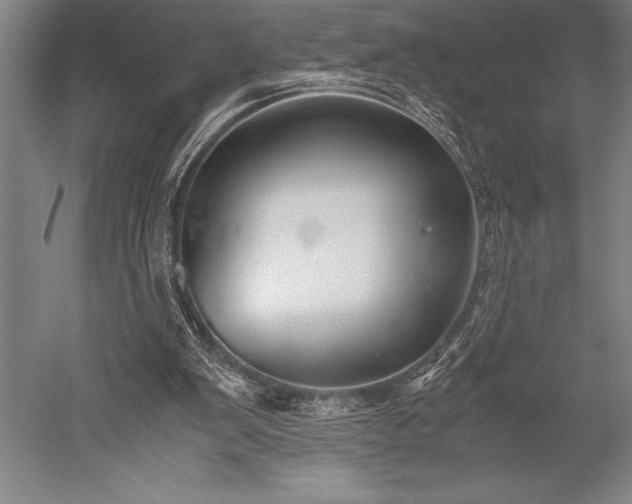 X0000052560103200507081646
