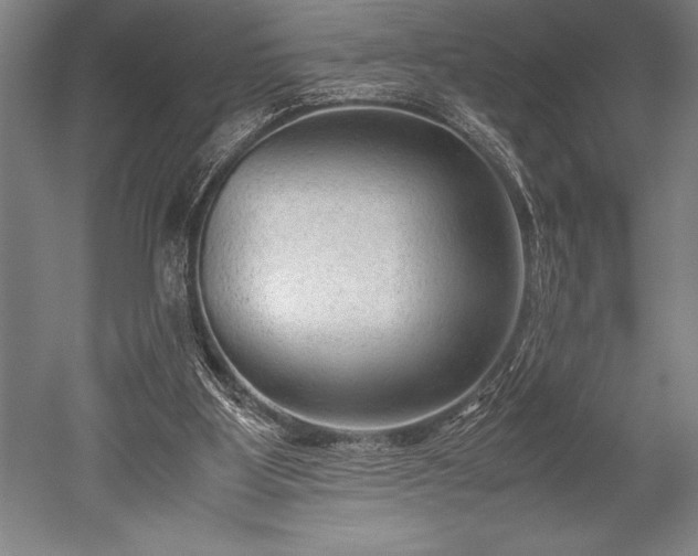 X0000052560107200507081646