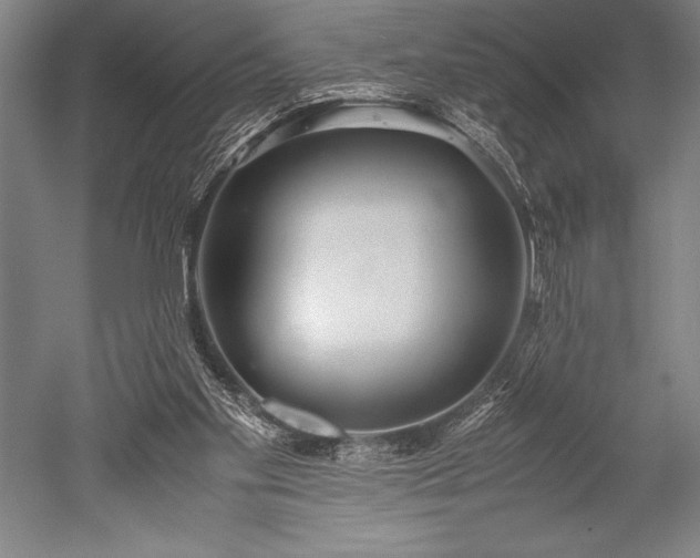X0000052560109200507081646