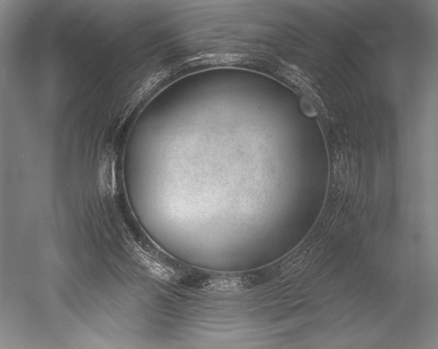 X0000052560110200507081646