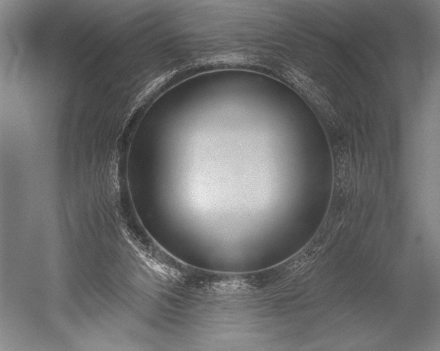 X0000052560112200507081646