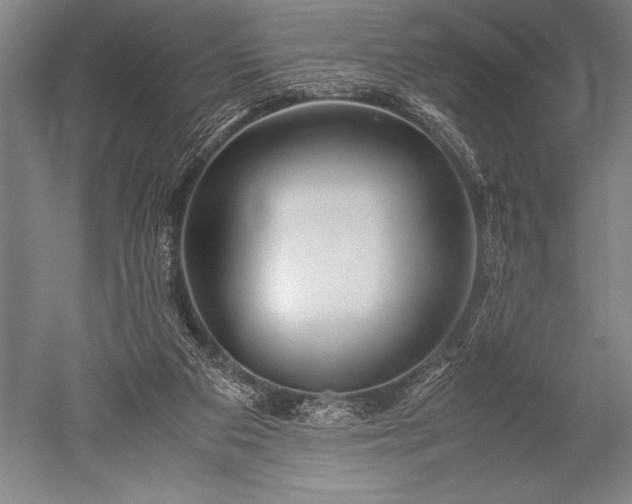 X0000052560113200507081646