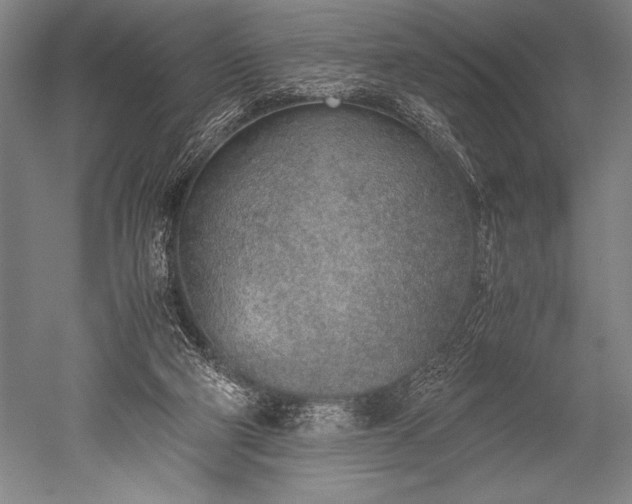 X0000052560114200507081646