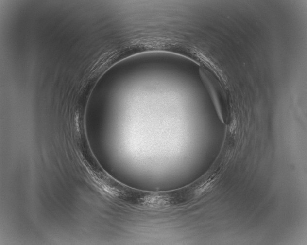 X0000052560117200507081646