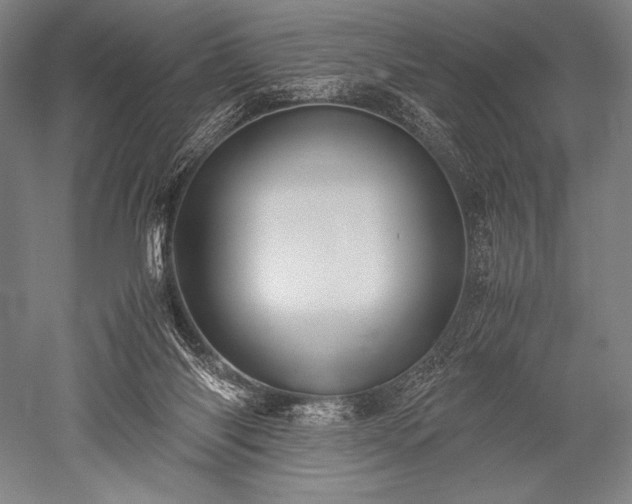 X0000052560118200507081646