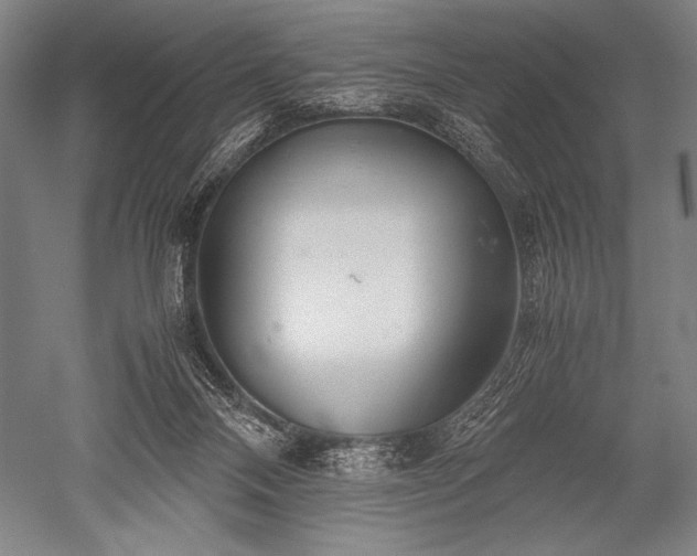 X0000052560120200507081646