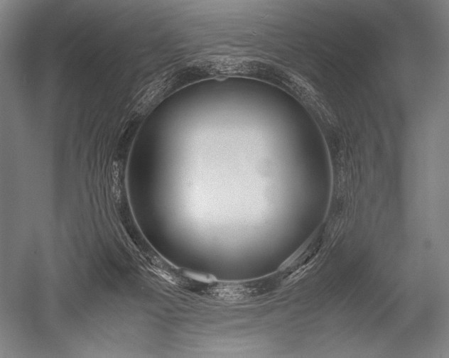 X0000052560121200507081646