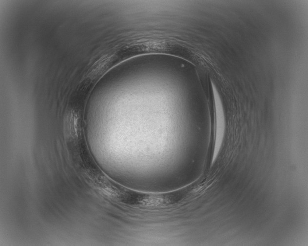 X0000052560123200507081646