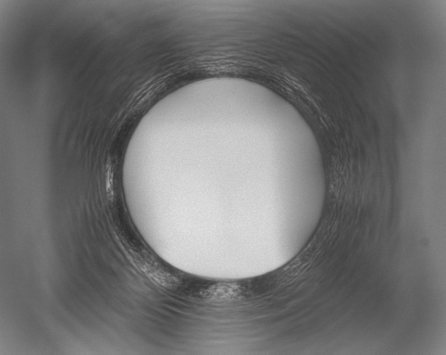 X0000052560124200507081646
