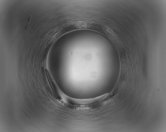 X0000052560125200507081646