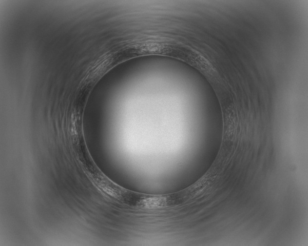 X0000052560126200507081645