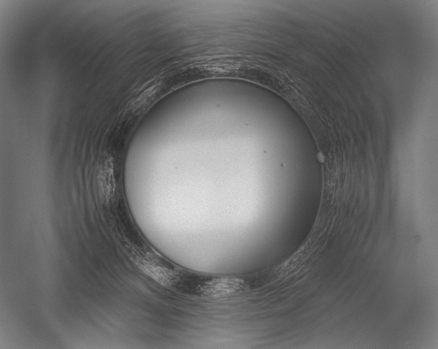 X0000052560128200507081645