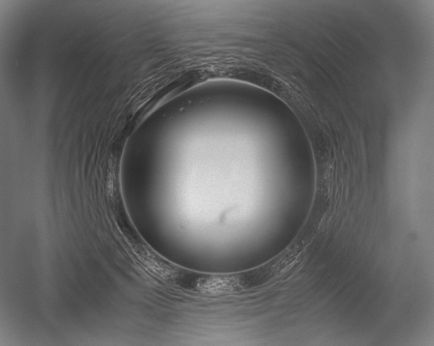 X0000052560129200507081645