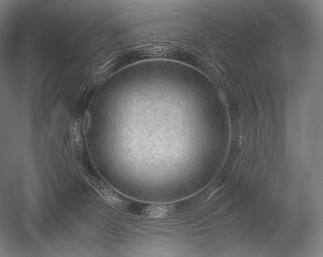 X0000052560131200507081645