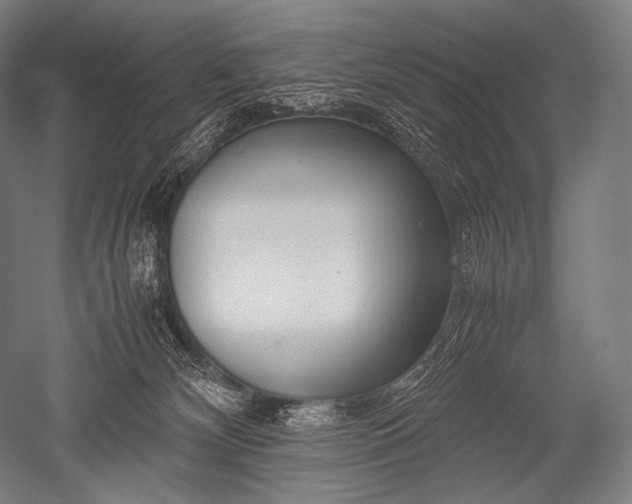 X0000052560132200507081645