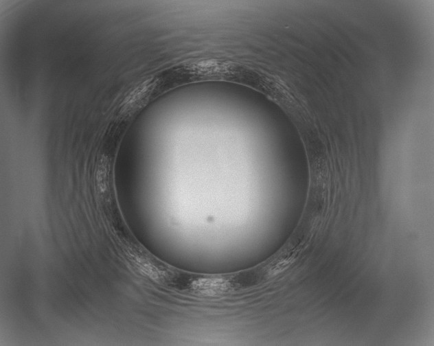 X0000052560133200507081645