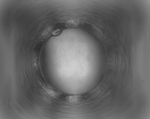 X0000052560134200507081645