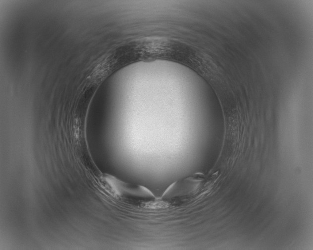 X0000052560135200507081645