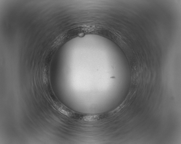 X0000052560136200507081645