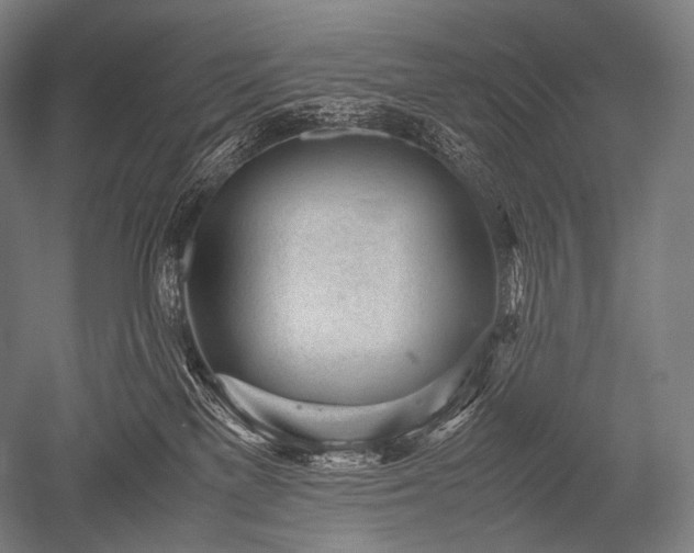 X0000052560137200507081645
