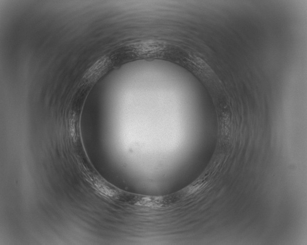 X0000052560138200507081645