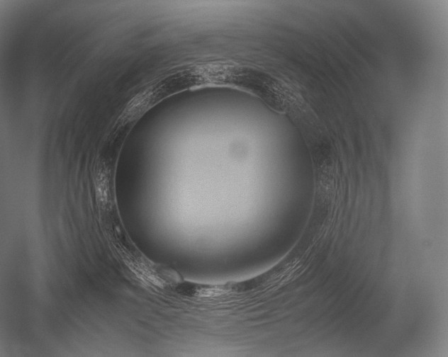 X0000052560139200507081645