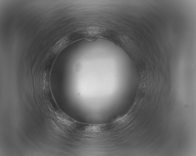 X0000052560140200507081645
