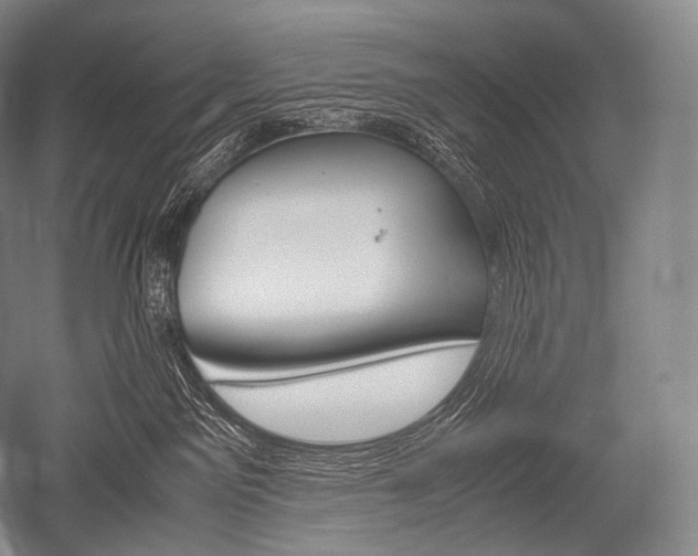 X0000052560141200507081645