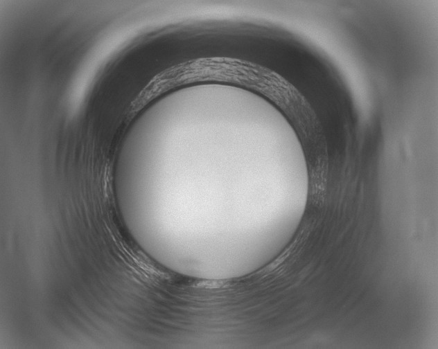 X0000052560142200507081645
