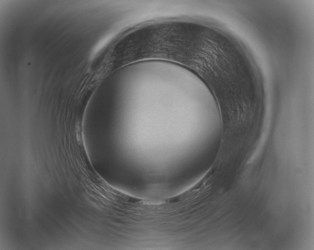 X0000052560143200507081645