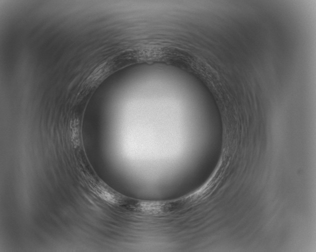 X0000052560144200507081645
