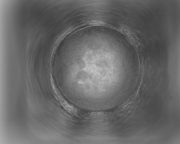 X0000052560145200507081644