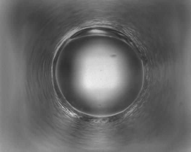 X0000052560148200507081644