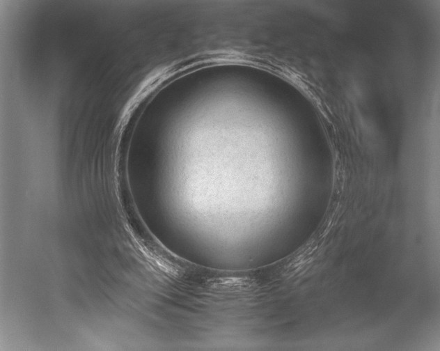 X0000052560151200507081644