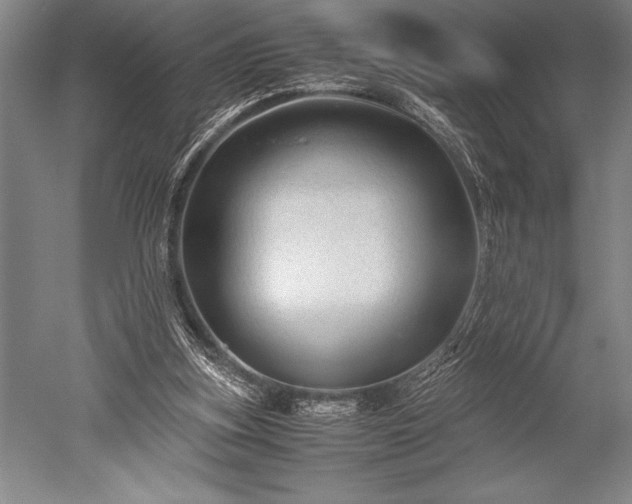 X0000052560155200507081645