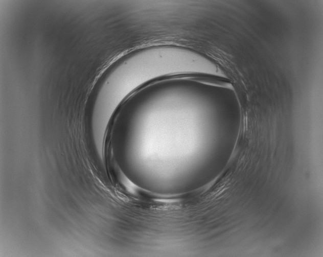 X0000052560156200507081645