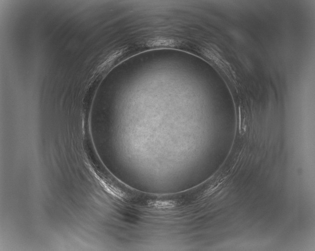 X0000052560157200507081645
