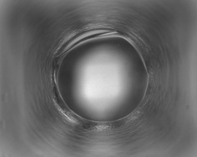X0000052560158200507081645
