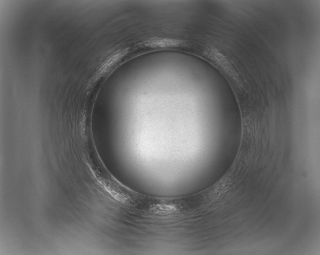 X0000052560159200507081645
