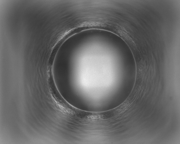 X0000052560160200507081645