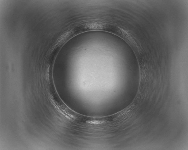 X0000052560163200507081645