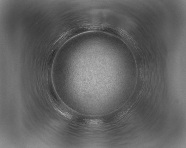 X0000052560165200507081645