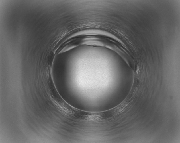 X0000052560168200507081645