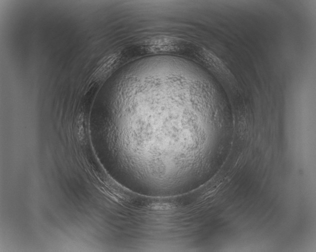 X0000052560169200507081645